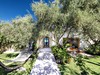 Zakynthos Porto Zante zahrada -